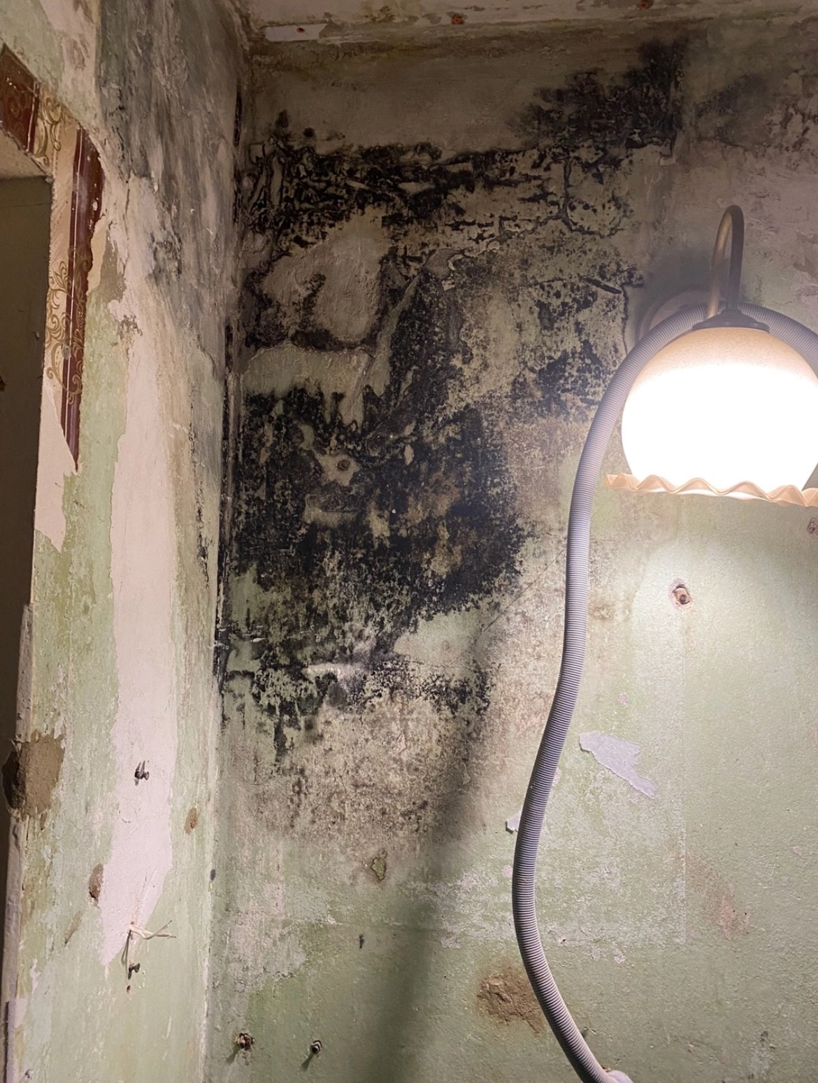 Обработка кухни от тараканов