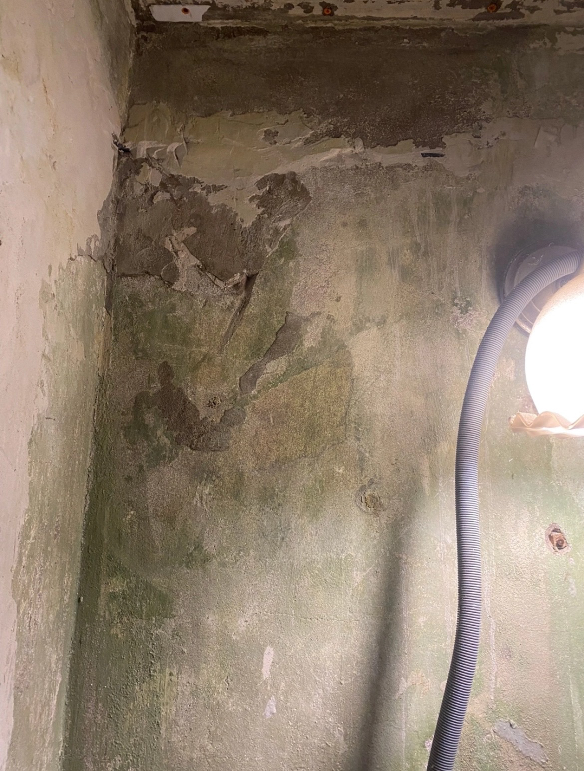 Уничтожение клопов в диване