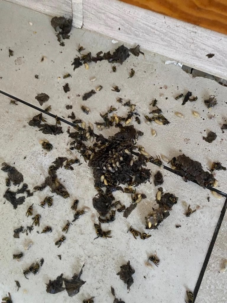 Обработка офиса