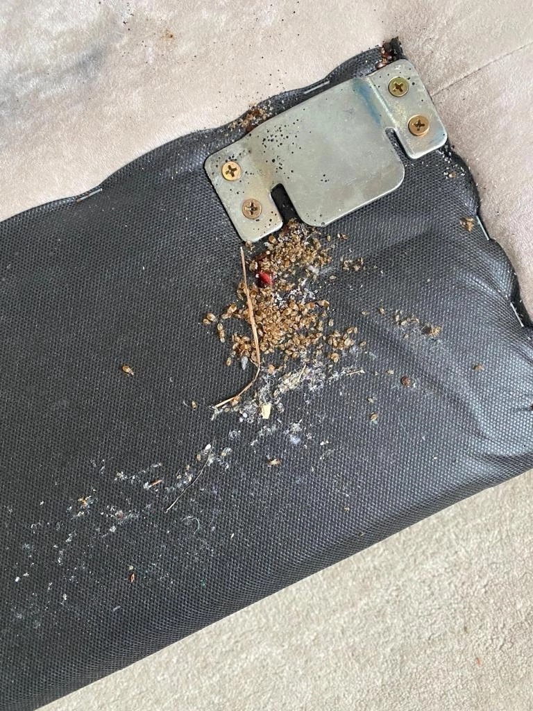 Обработка от плесени в ванной