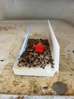 Пример наших работ